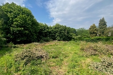 ANTWERPEN/WILRIJK - Park Den Brandt: Uniek perceel bouwgrond van 1.800m²

BESCHRIJVING:

Dit prachtig perceel geeft uit in het Park Den Brandt.

Uitzonderlijke opportuniteit, met de mogelijkheid tot het bouwen van een unieke villa, in de meest gege