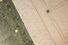 WILRIJK - Park Den Brandt: Stijlvol ingerichte woning met 4 slaapkamers, ruime tuin en inpandige garage