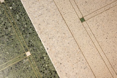 WILRIJK - Park Den Brandt : Maison élégamment aménagée avec 4 chambres, grand jardin et garage intégré.