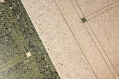 WILRIJK - Park Den Brandt: Stijlvol ingerichte woning met 4 slaapkamers, ruime tuin en inpandige garage