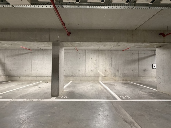 E2639282628338845644_5424JL.jpg
